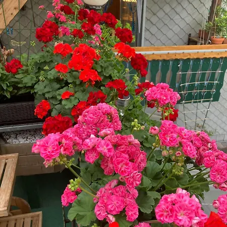 דירה Zeiler Peter Und Luisie באגינג אם זי